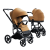 Carmelowy 